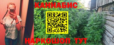 mdpv Гай