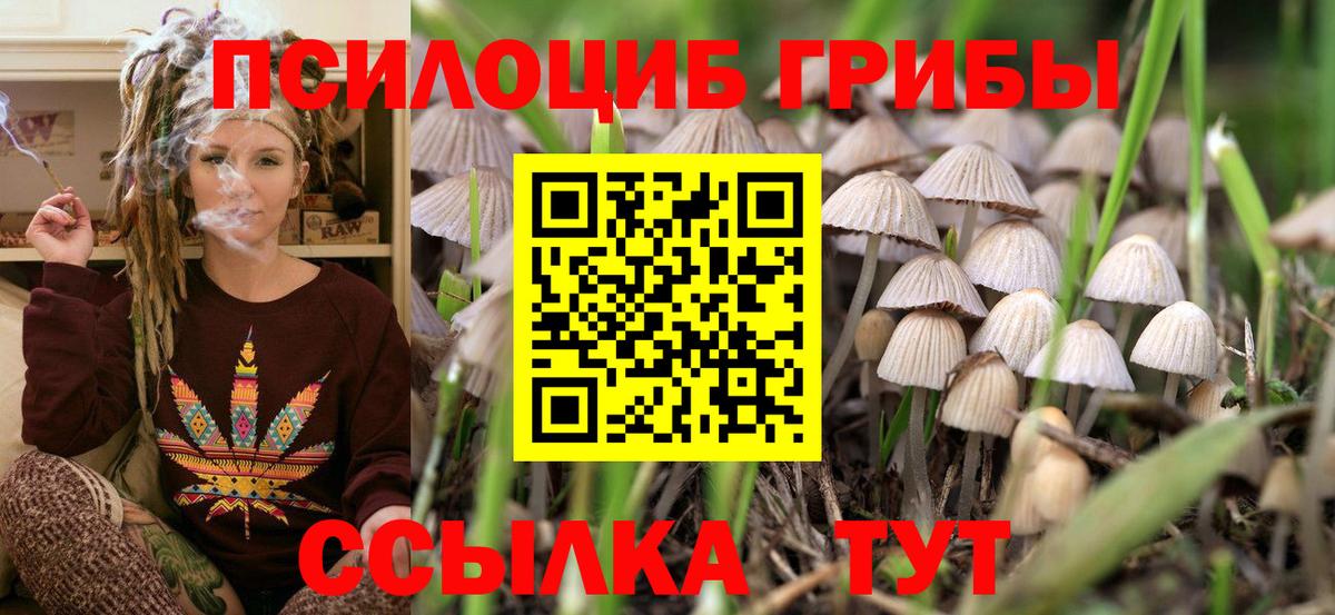 МЕФ Воркута
