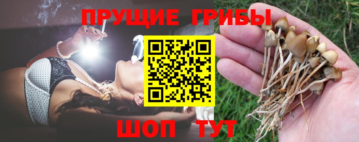 Галлюциногенные грибы мухоморы  Галлюциногенные грибы Psilocybine cubensis  Вход с VPN  Воркута 